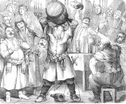 Illustrations